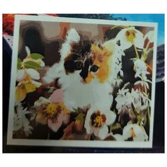 Холст с красками "Палитра. Рисование по номерам. Котёнок в цветах", 30х40 см (в пленке)