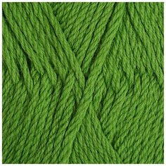 Пряжа для вязания ПЕХ Пехорская шапка (85% мериносовая шерсть, 15% акрил высокообъемный) 5х100г/200м цв.434 зеленый Пехорка