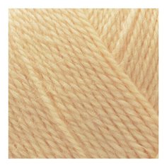 Пряжа для вязания КАМТ Аргентинская шерсть (100% импортная п/т шерсть) 10х100г/200м цв.192 чайная роза Камтекс