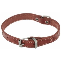 Ошейник Аркон Стандарт (о16/1) 26-34 см красный