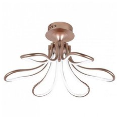 Потолочная люстра Favourite, 6х15W, золото, размеры (мм)-610x260, 4000К, плафон - белый