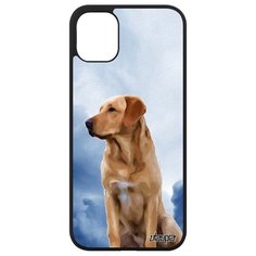 Чехол на смартфон Apple iPhone 11, "Лабрадор" Собачий Животное Utaupia