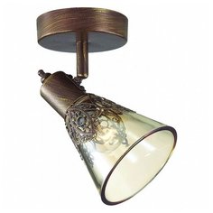 Спот Favourite, 1х40W, золото, размеры (мм)-175x110x150, плафон - коньячный