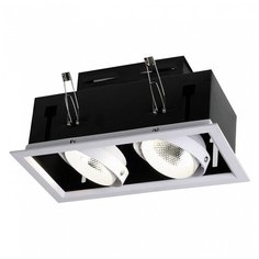 Встраиваемый светильник Favourite, 2х12W, черно-белый, размеры (мм)-270х140х105, 4000К