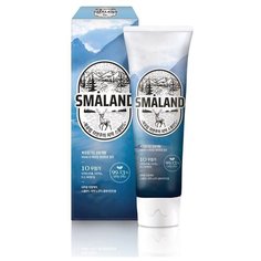 Зубная паста НОРДИК Классическая мята Smaland Nordic Classic Mint, 100g Dental Clinic 2080