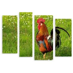 Модульная картина на холсте "Петух" 170x130 см Modulka.Ru
