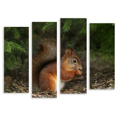 Модульная картина на холсте "Белочка" 170x133 см Modulka.Ru