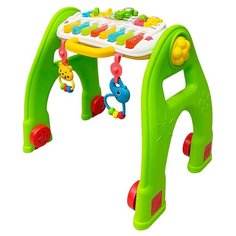 Каталка-ходунки everflo Green Joy (HS0374904) зеленый