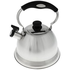 Termico Чайник со свистком 220409 2.7 л, серебристый