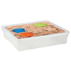 ЯЩИК УНИВЕРС. С АППЛИКАЦИЕЙ 400*335*85 ММ 9 Л (БЕСЦВЕТН.) (1/12) "БЫТПЛАСТ" Econova