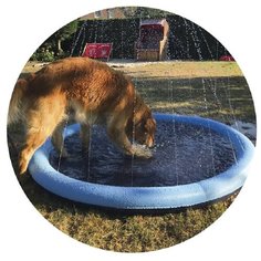 Бассейн-фонтан для собак SPLACH POOL 150см пластик Nobby