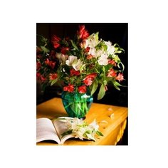 Рыжий кот картина по номерам "Букет и книга" 22x30 см (HS268)