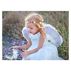 Рыжий кот картина по номерам Чудесный ангелок 22х30 см (HS293)