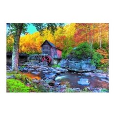 Рыжий кот картина по номерам Деревянный домик в лесу 22х30 см