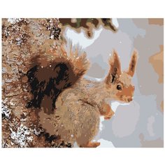 Белка Раскраска картина по номерам на холсте Z-AB376 40х50
