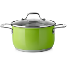 Кастрюля Esprado Aranda Verde, 3.5 л, серебристый/светло-зеленый