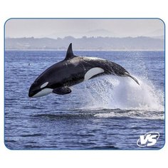 Коврик VS Фауна Касатка (A4809) принт: касатка