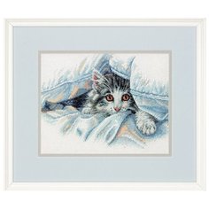 Dimensions Набор для вышивания крестиком Cat Comfort 25,4 х 20,3 см (35341)