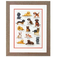 Dimensions Набор для вышивания крестиком Породы собак 25,4 x 35,5 см (70-35353)