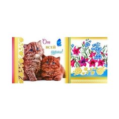 Конверт для денег Творческий Центр СФЕРА От всей души! (КД-9305), 1 шт.