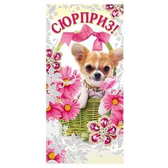 Конверт для денег Творческий Центр СФЕРА Сюрприз! (КД-11402), 1 шт.