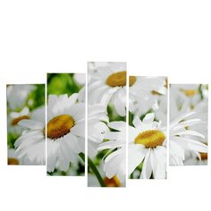 Картина модульная Ромашки 2шт-25х52; 2шт-25х67; 1шт-25х80см 80*125 см Сюжет
