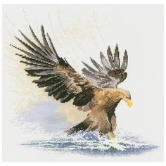 Набор для вышивания Орёл в полёте Heritage