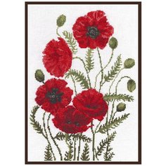 01.003 Набор для вышивания Палитра Луговые маки, 24*33 см