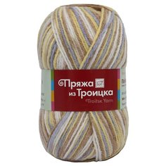 Пряжа из Троицка Подмосковная принт, секц. 100гр. 250м. (50%шерсть, 50%акрил) (4052 секционный) 10 мотков Троицкая камвольная фабрика