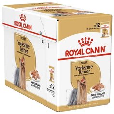 Влажный корм для собак Royal Canin Йоркширский терьер, для здоровья кожи и шерсти 12 шт. х 85 г