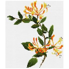 Набор для вышивания Белоснежка 6002-14 Страстоцвет изящный