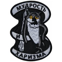 Нашивка (шеврон патч patch) "Мудрость и харизма", вышивка на липучке, 6.8 x 9.8 см, черный Teamzlo Workshop