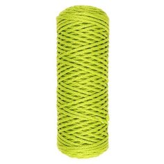 Пряжа Softino Классик, 170 г, 100 м, салатовый