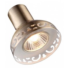 Спот Arte Lamp Focus A5219AP-2AB
