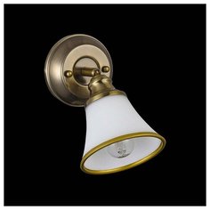 Спот Freya Jasinta FR2272-WL-01-BS