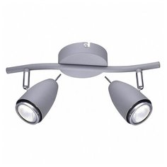 Спот Arte Lamp Regista A1966AP-2GY