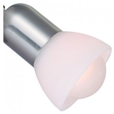 Спот Arte Lamp Falena A3115AP-1SS