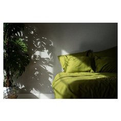 Комплект постельного белья SIESTA HOME Евро макси Фисташка (220х240, 240х260, 50х70)