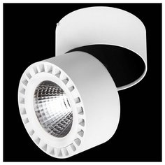 Спот Lightstar Forte 381364