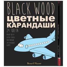 Карандаши цветные ПЛАСТИКОВЫЕ "BlackWoodColor", 24 ЦВЕТА, 4 ВИДА Bruno Visconti