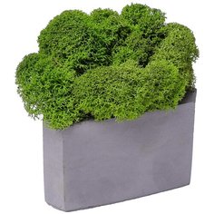 Кашпо бетонное со мхом (гама-маренго мох зеленый) Oktaur