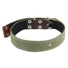 Ошейник брезентовый на фетре, 71 х 3,5 см 1173228 Сима ленд