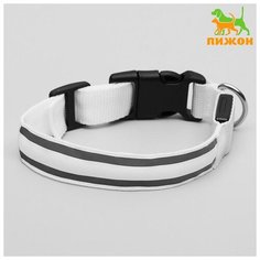 Ошейник с подсветкой и 2 светоотражающими полосами, 38-40 см, 3 режима свечения, белый 1039599 Пижон