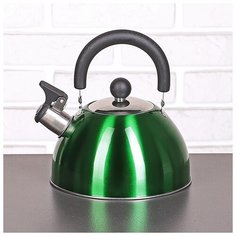 Чайник 2 л со свистком "Грин. блеск" 3599609 Сима ленд