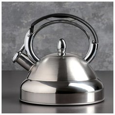 Чайник со свистком 3 л "Той" капсулированное дно, индукция 4466740 Сима ленд