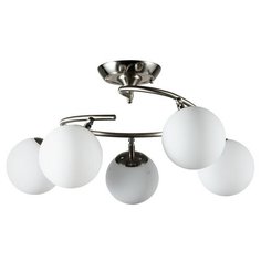 Потолочная люстра Brooke A2717PL-5SS Arte Lamp