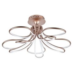 Потолочная люстра Flora 2547-10U Favourite