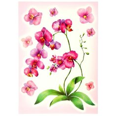Наклейки Decoretto "Акварельная орхидея" 35х50 см 1225738
