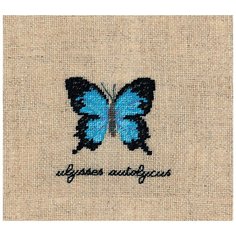 Набор для вышивания: PAPILLONS ULYSSES AUTOLYCUS (Бабочка ULYSSES AUTOLYCUS) Le Bonheur des Dames, 5*5,5 3628