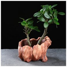 Кашпо керамичское "Пенек" 13*10*10см 5274564 Take It Easy